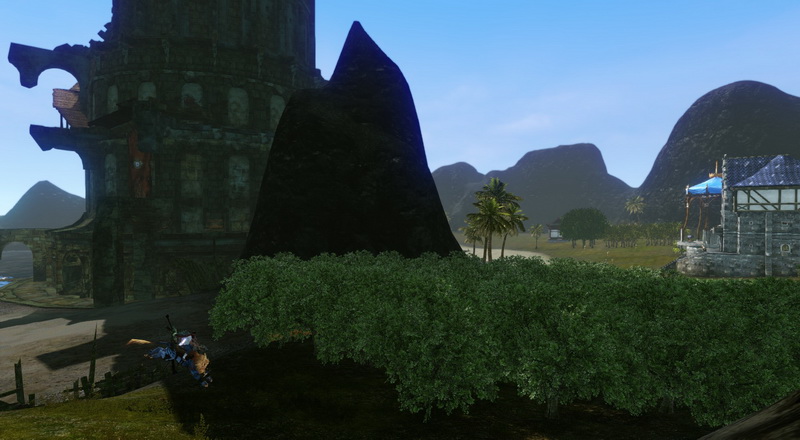 L'album photos souvenir d'Archeage - Page 2 Foret2